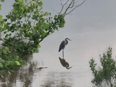Pond views behind the home, abundant wildlife, and nature all - photo 32