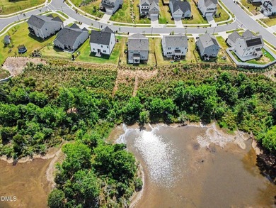 Pond views behind the home, abundant wildlife, and nature all - photo 35