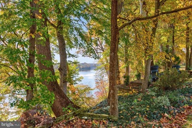 Be prepared to fall in LOVE! This 3-level, 2800+ sq ft home sits - photo 44