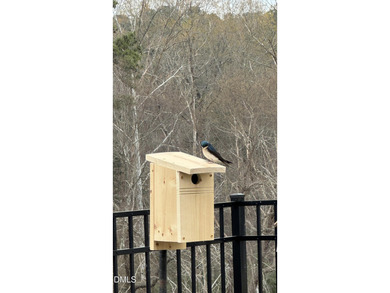 Pond views behind the home, abundant wildlife, and nature all - photo 46