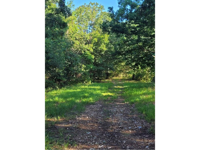 Ozark Mountain Retreat - 134+ Acres, Paved Access, Abundant - photo 50