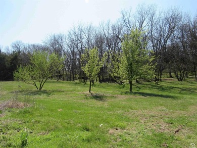 MOTIVATED SELLER -CHARMING COUNTRY PROPERTY ON APPROX. 10 ACRES - photo 6