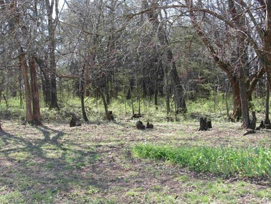 MOTIVATED SELLER -CHARMING COUNTRY PROPERTY ON APPROX. 10 ACRES - photo 7