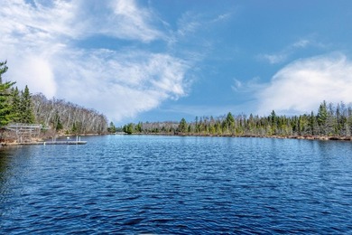 Nestled on the highly sought-after Sugar Camp Chain of 5 lakes - photo 11