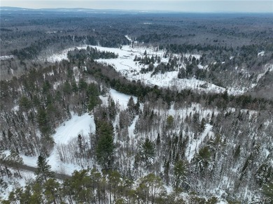 Remsen-33 wooded acres with Muskrat Creek running through the - photo 22