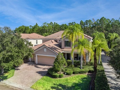 Lake Nona Area Home For Sale in Orlando Florida