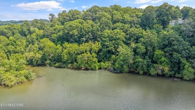 Lakefront Lot on Watts Bar Lake - A Rare Waterfront Opportunity - photo 11