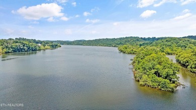 Lakefront Lot on Watts Bar Lake - A Rare Waterfront Opportunity - photo 12