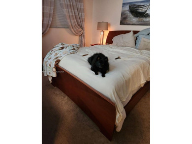 Step Inside this Stunningly Renovated Condo with Impeccable