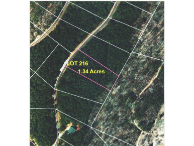 This Clearwater Creek Development has a niche whereby it's a - Lake Lot For Sale in Rutherfordton, North Carolina
