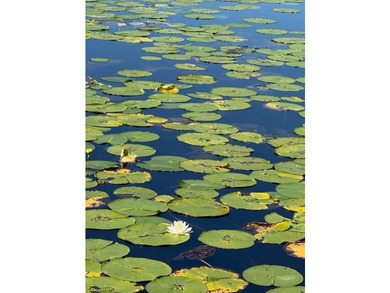 Incredible value!!!! A rare opportunity to own this Beautiful - photo 3