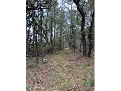 Lucas Lake - Blackhole Pond Lot For Sale in Chipley Florida