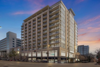 Lake Michigan - Cook County Condo Active Under Contract in Chicago Illinois