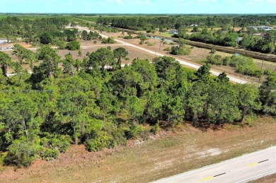 Lehigh Acres Area Lot Sale Pending in Lehigh Acres Florida