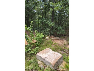 **Escape to the Kiamichi Wilderness and create your own private - photo 11