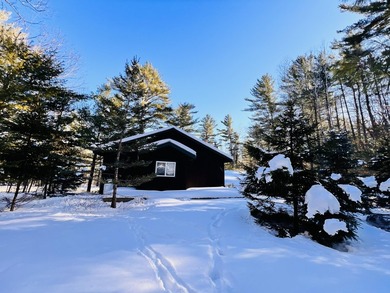 MOTIVATED SELLER! Set within the Ausable Acres community in Jay - photo 40