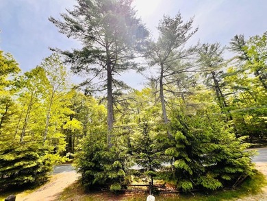 MOTIVATED SELLER! Set within the Ausable Acres community in Jay - photo 45