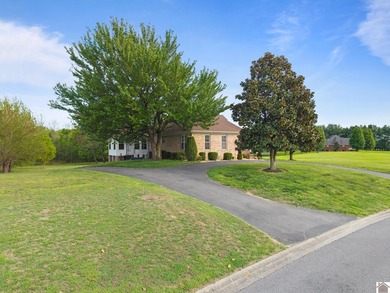 Located on the golf course in Drake Creek, this 4-bedroom, 2 - photo 48