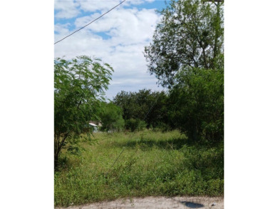Lake Corpus Christi Lot For Sale in Mathis Texas