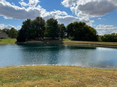 (private lake, pond, creek) Acreage For Sale in Highland Illinois