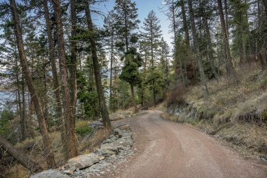 Rare opportunity on Flathead Lake's White Swan Point - photo 5