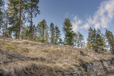Rare opportunity on Flathead Lake's White Swan Point - photo 6