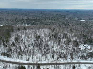 Raw Land in Remsen-35 Acres with Creek, Road Frontage & - photo 11