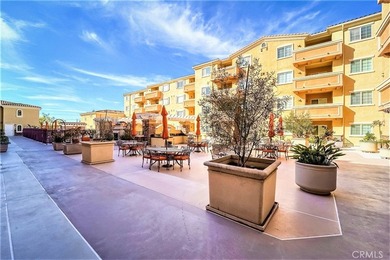 Village Court Development is a 55+ Senior Community which offers - photo 11