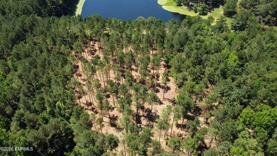 **Rare 19+ acre property** in the highly desirable West - photo 13