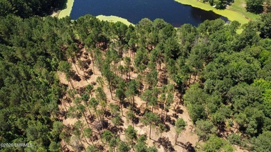 **Rare 19+ acre property** in the highly desirable West - photo 14