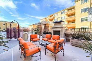 Village Court Development is a 55+ Senior Community which offers - photo 14
