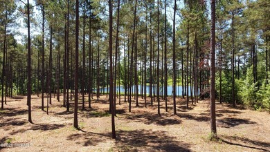 **Rare 19+ acre property** in the highly desirable West - photo 18
