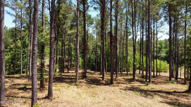 **Rare 19+ acre property** in the highly desirable West - photo 19