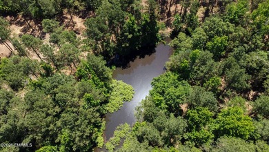 **Rare 19+ acre property** in the highly desirable West - photo 20