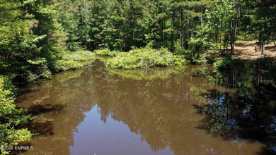 **Rare 19+ acre property** in the highly desirable West - photo 21