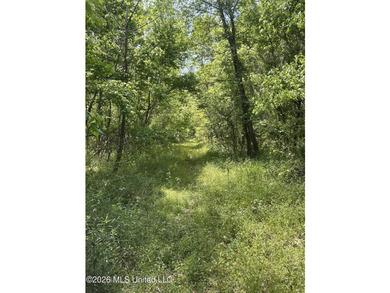48 acres with a 3 BR 2 BA mobile home, shop, and additional home - photo 38
