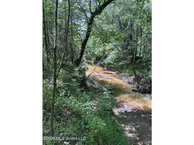 48 acres with a 3 BR 2 BA mobile home, shop, and additional home - photo 39