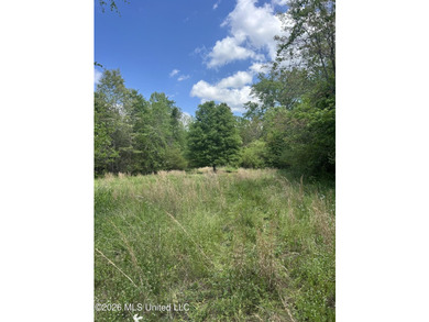 48 acres with a 3 BR 2 BA mobile home, shop, and additional home - photo 40