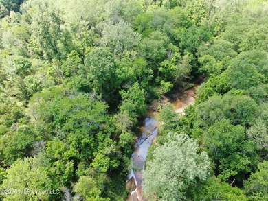 48 acres with a 3 BR 2 BA mobile home, shop, and additional home - photo 42