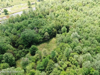 48 acres with a 3 BR 2 BA mobile home, shop, and additional home - photo 43