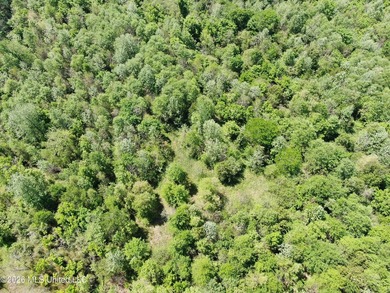48 acres with a 3 BR 2 BA mobile home, shop, and additional home - photo 44