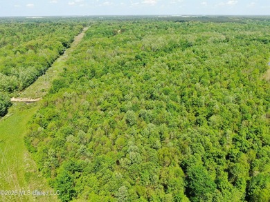 48 acres with a 3 BR 2 BA mobile home, shop, and additional home - photo 46