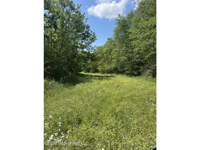 48 acres with a 3 BR 2 BA mobile home, shop, and additional home - photo 47