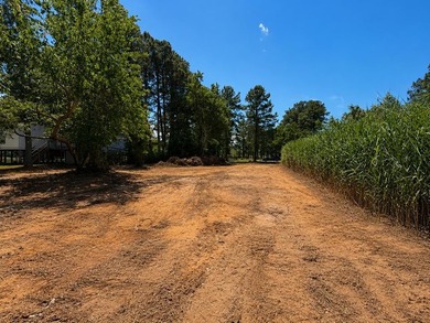 Seller willing to pay $1500.00 towards septic health dept - photo 2