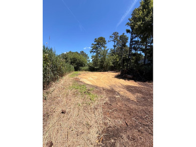 Seller willing to pay $1500.00 towards septic health dept - photo 4