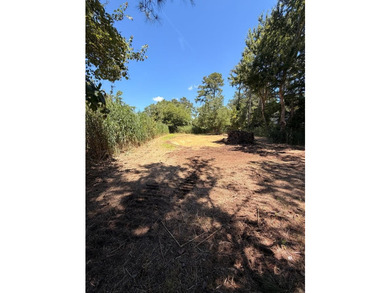 Seller willing to pay $1500.00 towards septic health dept - photo 9