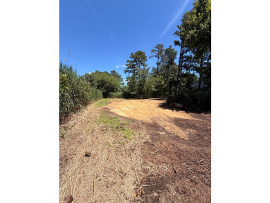 Seller willing to pay $1500.00 towards septic health dept - photo 10