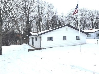 Lake Home For Sale in Lake, Michigan