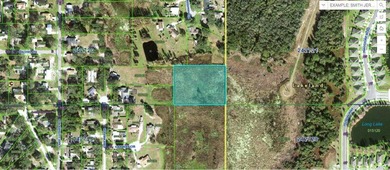 Lake Deeson Acreage For Sale in Lakeland Florida