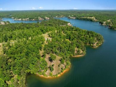 Located on the main channel near the dam at the mouth of Ryan - photo 11